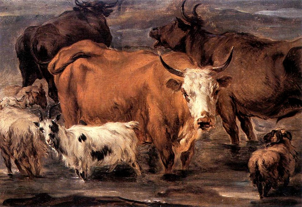Nicolaes Pietersz. Berchem, Animal Study (1635–1683)