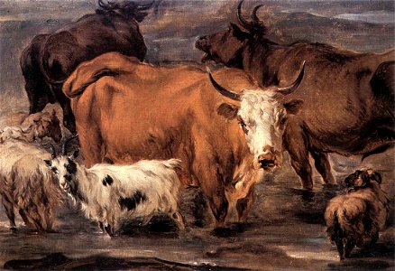 Nicolaes Pietersz. Berchem, Animal Study (1635–1683)
