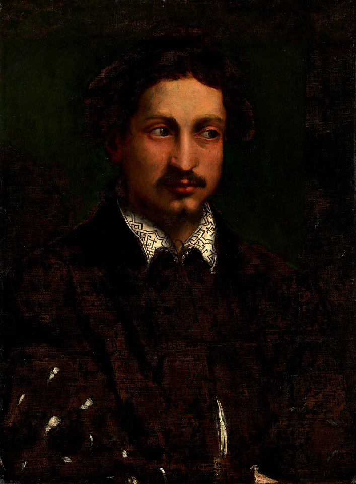 Nicolò dell'Abate (Modena c. 1509-12-Fontainebleau 1571) - Portrait of a Young Man with a Cleft Chin - RCIN 402755 - Royal Collection