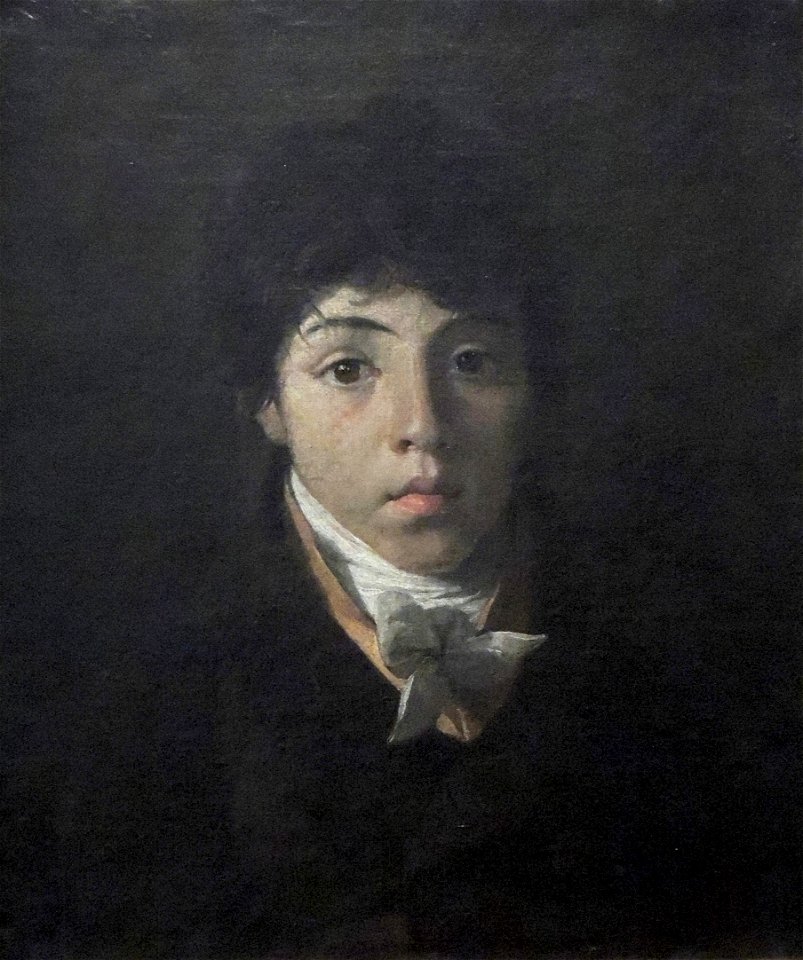 Nicolas-Antoine Taunay - Retrato do jovem Teodoro Taunay