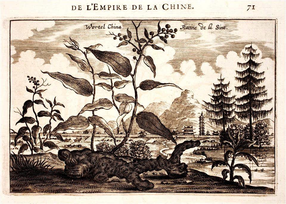 Nieuhof-Description-générale-de-la-Chine-1665 0857