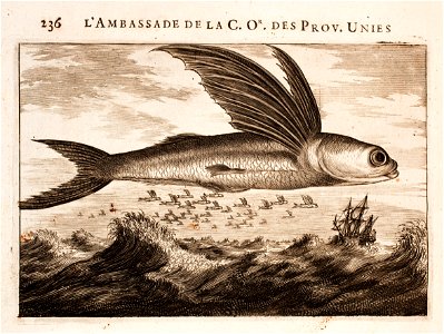Nieuhof-Ambassade-vers-la-Chine-1665 0839
