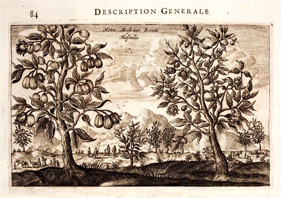 Nieuhof-Description-générale-de-la-Chine-1665 0865