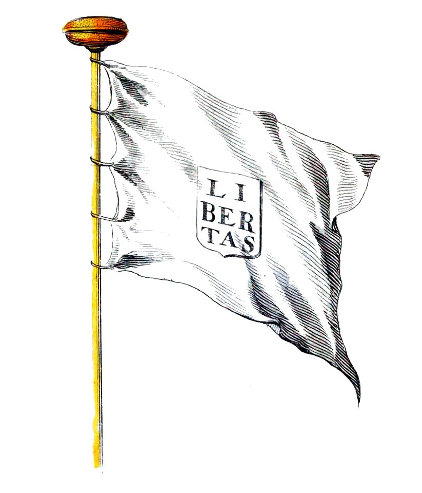 Nieuwe Hollandse scheeps-bouw 1695, Plate 49 (Vlag van Ragusa)