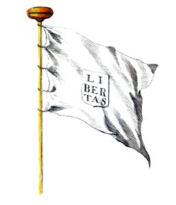 Nieuwe Hollandse scheeps-bouw 1695, Plate 49 (Vlag van Ragusa)