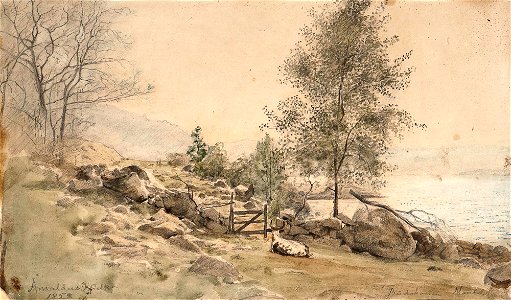 Amaldus Nielsen - Torskeskjaer, Budokken ved Skogsfjord (1858)