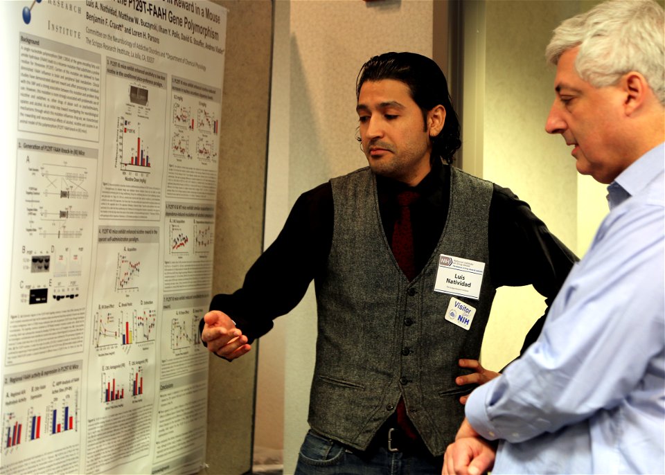 NIDA Office of Diversity and Health Disparities (ODHD) Diversity Supplement Workshop (23207204530)