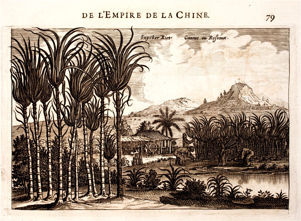 Nieuhof-Description-générale-de-la-Chine-1665 0861