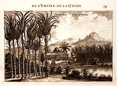 Nieuhof-Description-générale-de-la-Chine-1665 0861