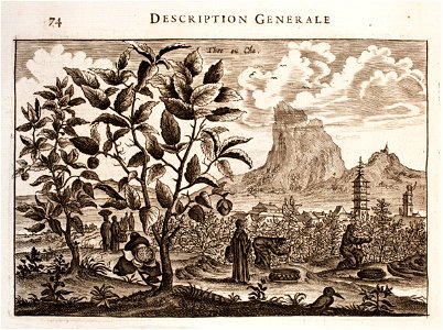Nieuhof-Description-générale-de-la-Chine-1665 0859
