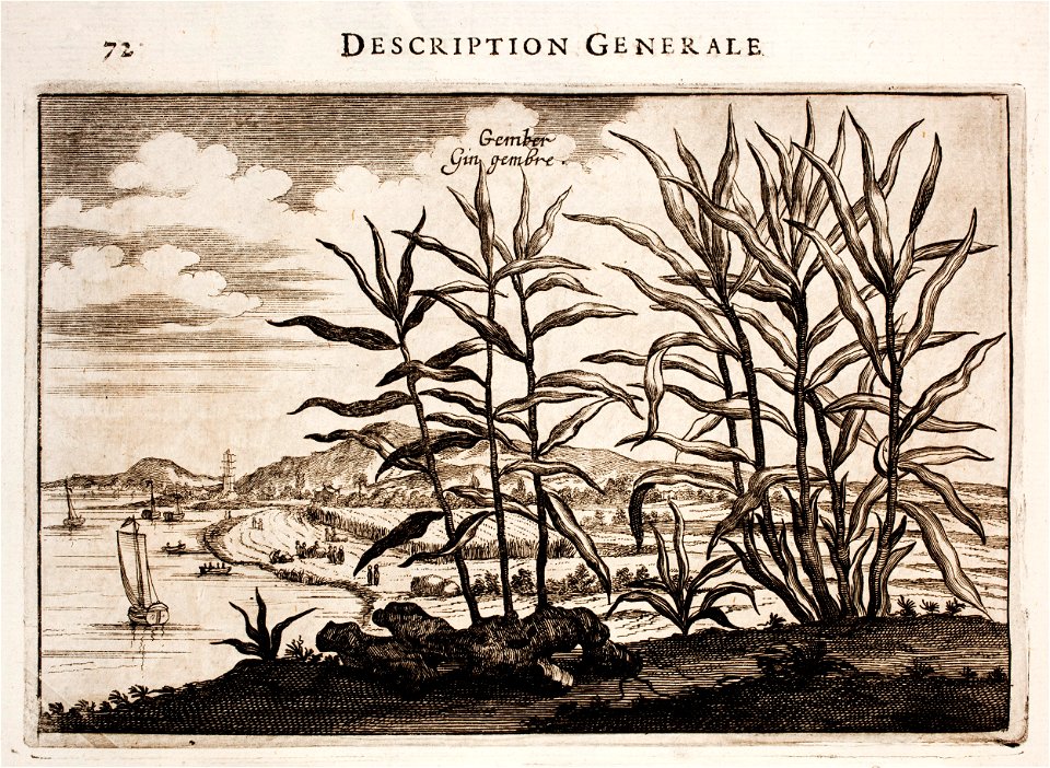 Nieuhof-Description-générale-de-la-Chine-1665 0858