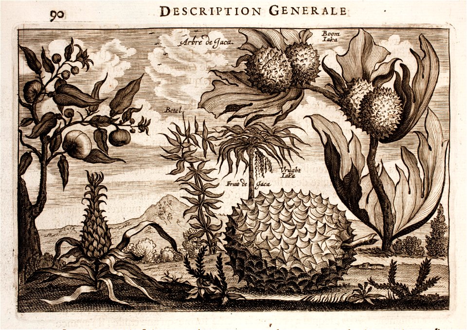 Nieuhof-Description-générale-de-la-Chine-1665 0869