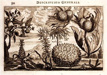 Nieuhof-Description-générale-de-la-Chine-1665 0869