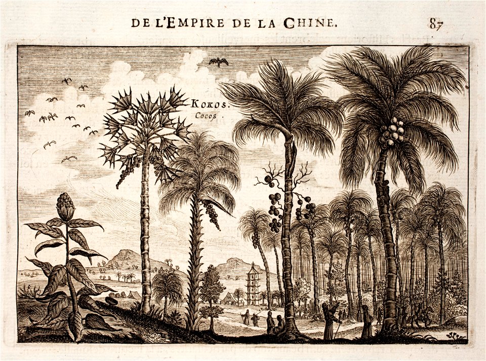 Nieuhof-Description-générale-de-la-Chine-1665 0868