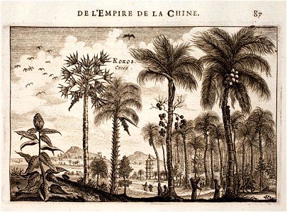 Nieuhof-Description-générale-de-la-Chine-1665 0868
