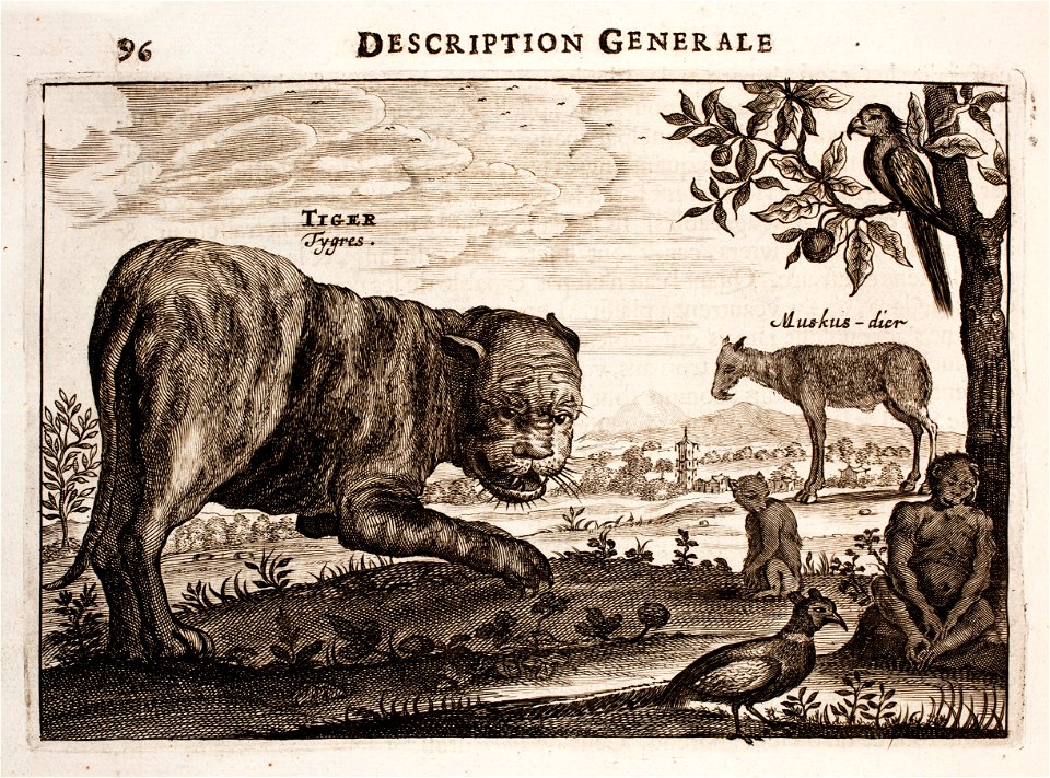 Nieuhof-Description-générale-de-la-Chine-1665 0873