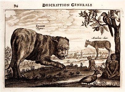 Nieuhof-Description-générale-de-la-Chine-1665 0873