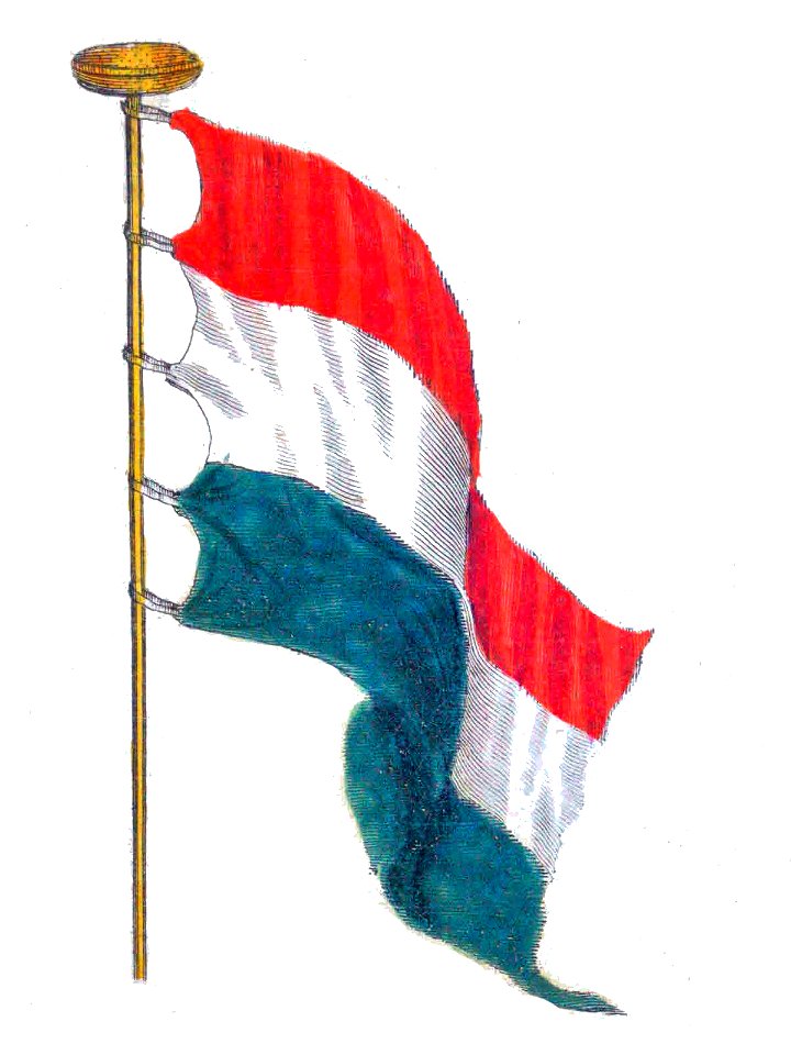Nieuwe Hollandse scheeps-bouw 1695, Plate 13 (Staaten vlag)