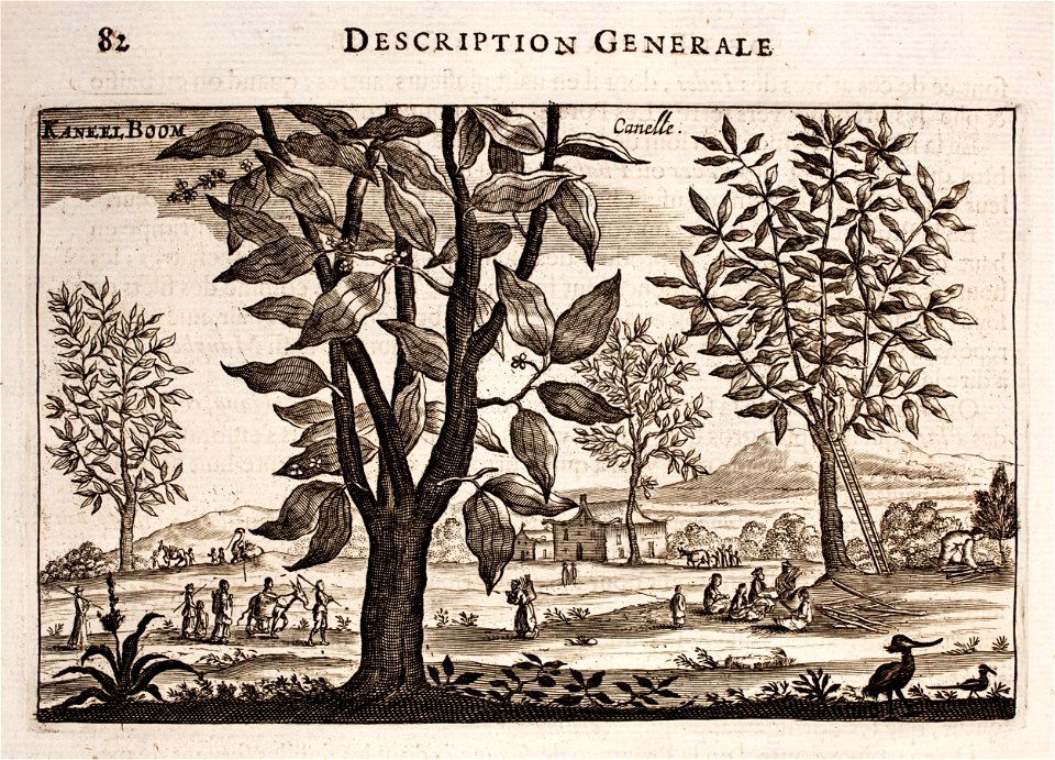 Nieuhof-Description-générale-de-la-Chine-1665 0863
