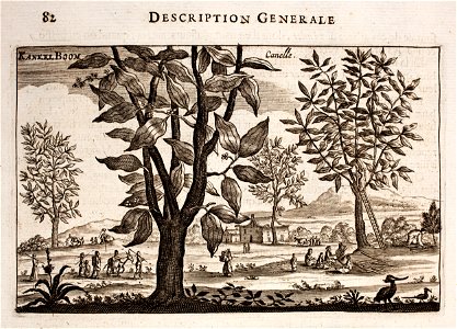 Nieuhof-Description-générale-de-la-Chine-1665 0863