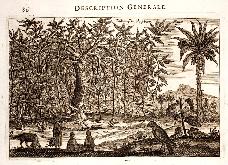 Nieuhof-Description-générale-de-la-Chine-1665 0867