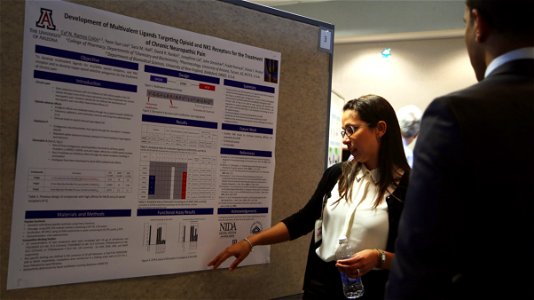 NIDA Office of Diversity and Health Disparities (ODHD) Diversity Supplement Workshop (22875799763)