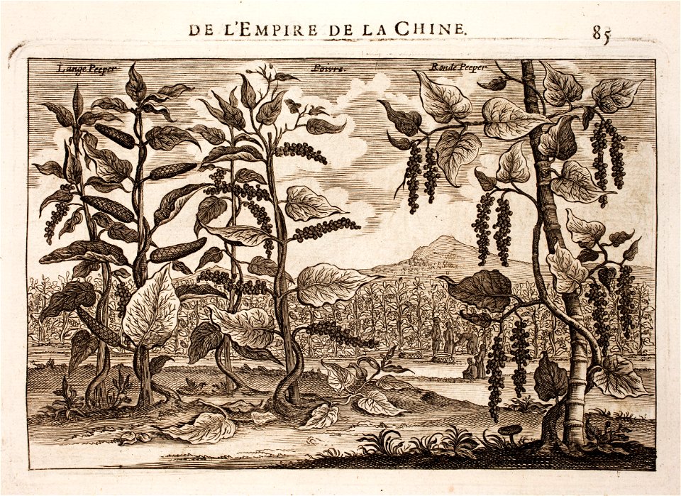 Nieuhof-Description-générale-de-la-Chine-1665 0866