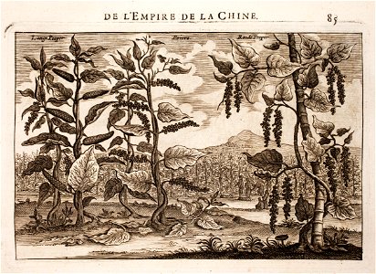 Nieuhof-Description-générale-de-la-Chine-1665 0866
