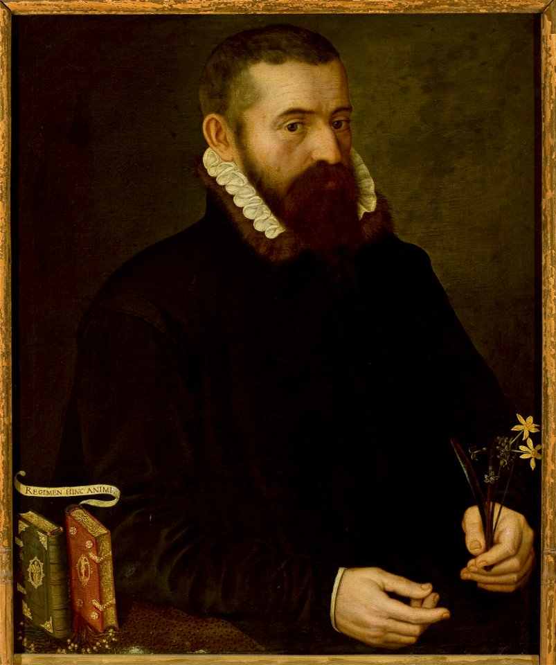 Nieznany malarz niderlandzki - Portrait of a man - M.Ob.1636 MNW - National Museum in Warsaw