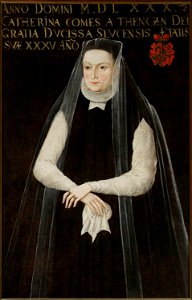 Nieznany malarz polski - Portrait of Katarzyna née Tęczyńska (ca. 1544–1592), 1. v. Słucka, 2. v. Radziwiłł - 128854 - National Museum in Warsaw