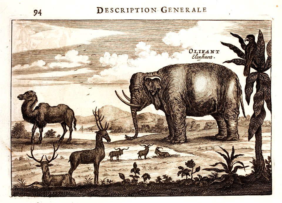 Nieuhof-Description-générale-de-la-Chine-1665 0872