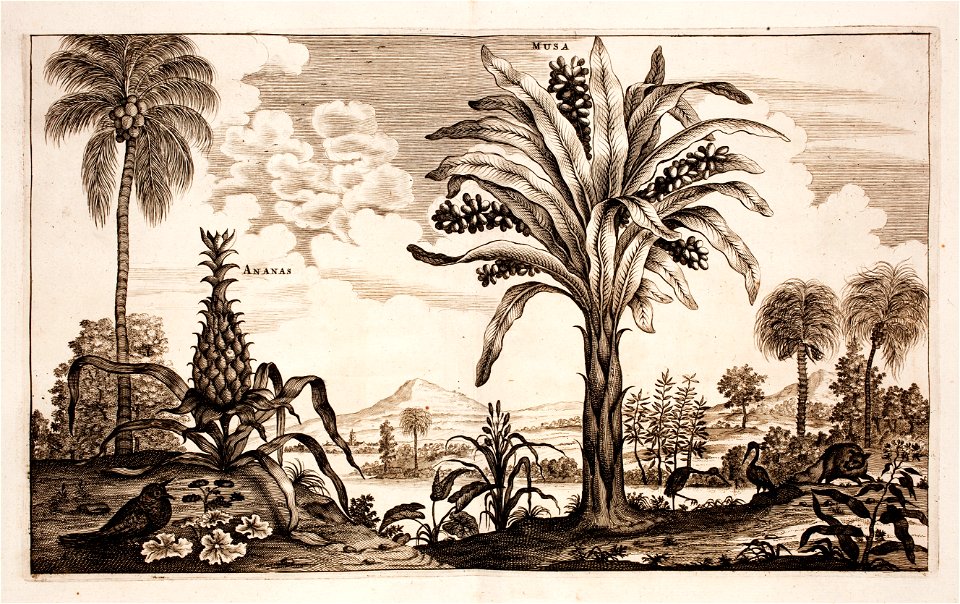 Nieuhof-Description-générale-de-la-Chine-1665 0870