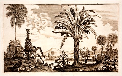 Nieuhof-Description-générale-de-la-Chine-1665 0870