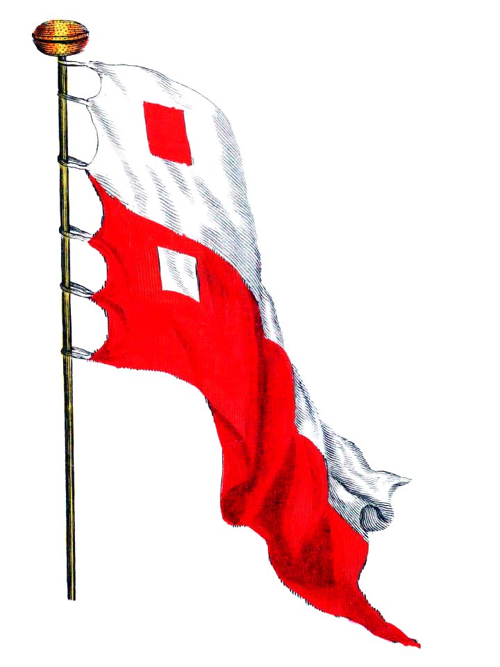 Nieuwe Hollandse scheeps-bouw 1695, Plate 71 (Vlag van Stattyn)
