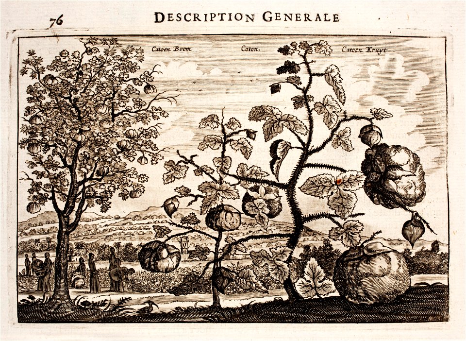 Nieuhof-Description-générale-de-la-Chine-1665 0860