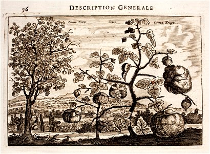 Nieuhof-Description-générale-de-la-Chine-1665 0860