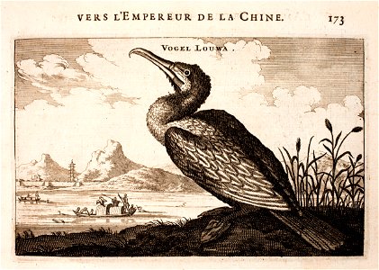 Nieuhof-Ambassade-vers-la-Chine-1665 0805