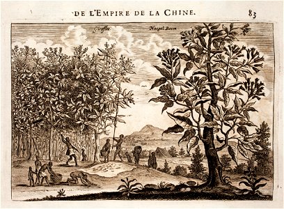Nieuhof-Description-générale-de-la-Chine-1665 0864