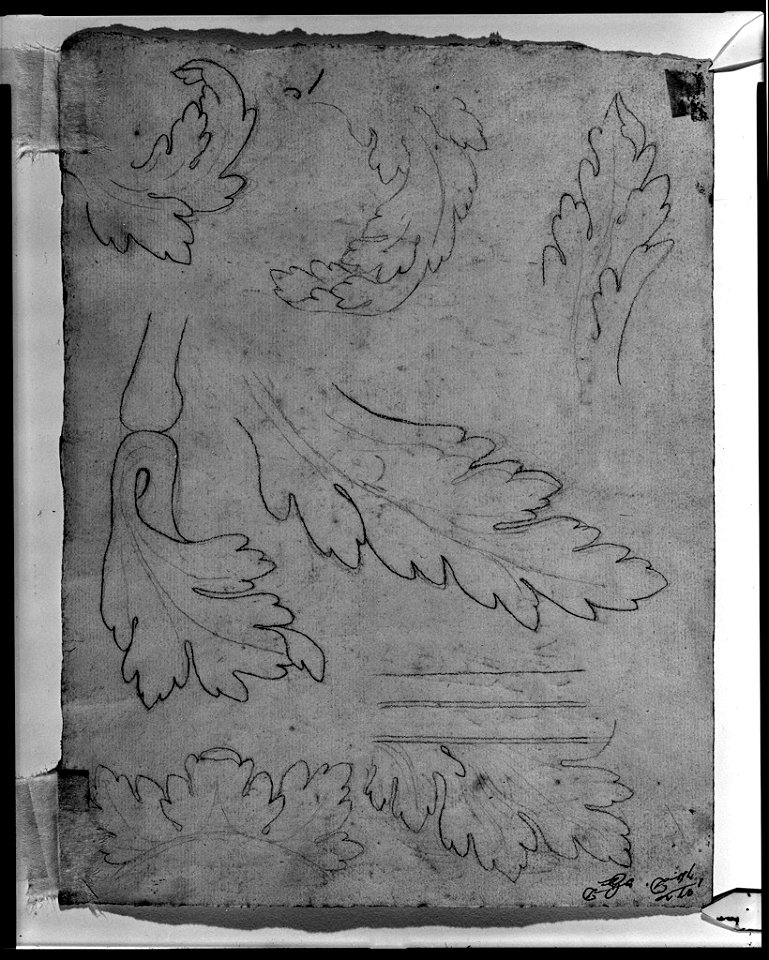 Norblin de la Gourdaine - verso Acanthus leaf motif in outline, 1943.801