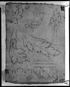 Norblin de la Gourdaine - verso Acanthus leaf motif in outline, 1943.801