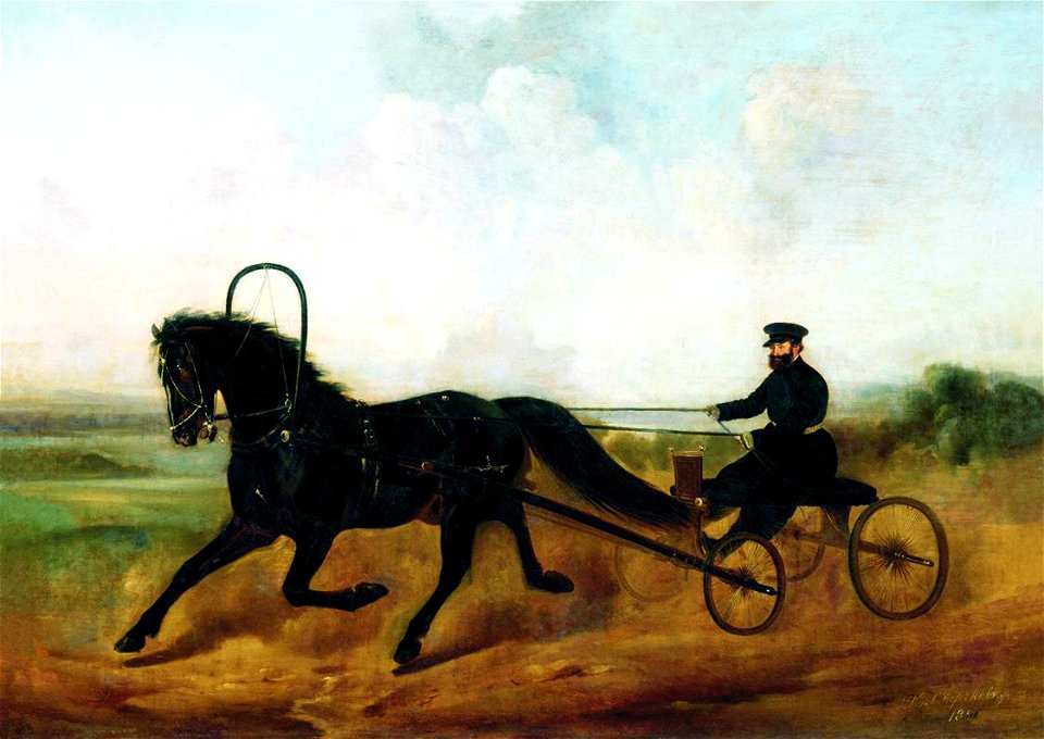 Nikolai Sverchkov - The Coachman