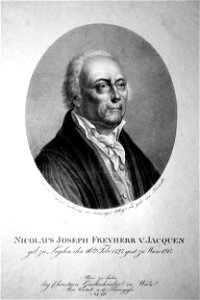 Nikolaus Joseph Jacquin Litho