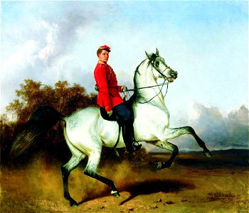 Nikolai Sverchkov - Hussar on Horseback. Free illustration for personal and commercial use.