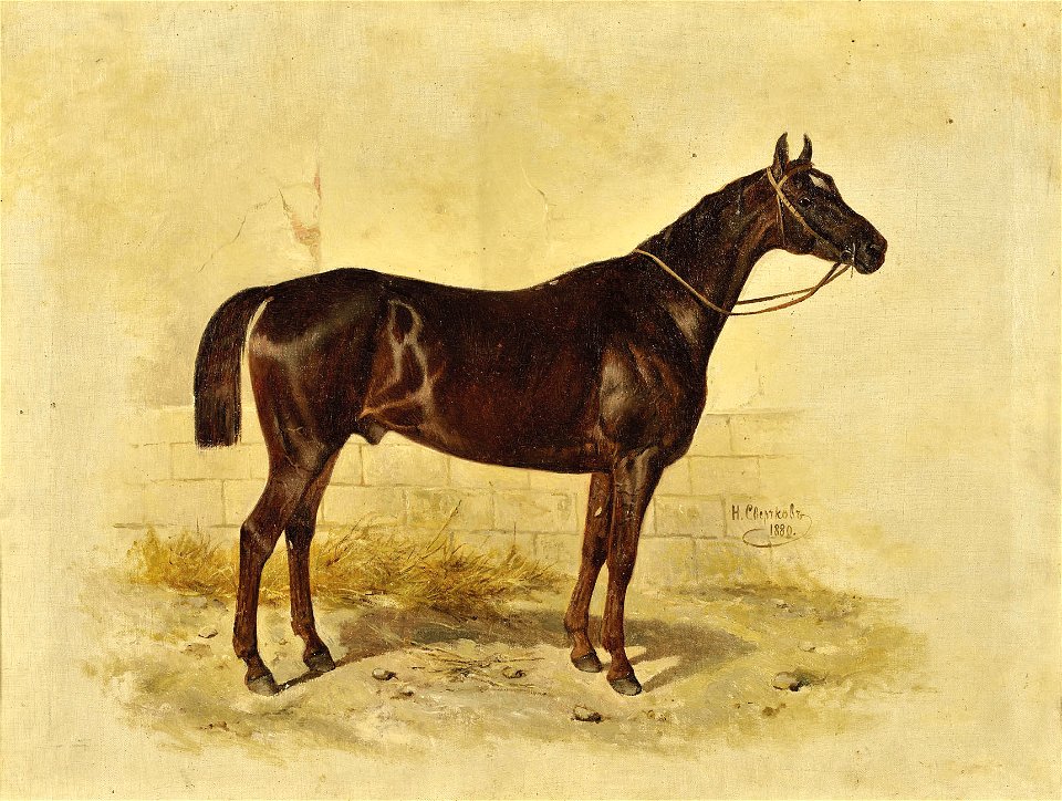 Nikolai Sverchkov - A Champion