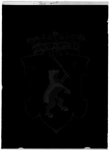 Norra Finlands vapen - Livrustkammaren - 69419-negative