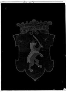 Norra Finlands vapen - Livrustkammaren - 69393-negative