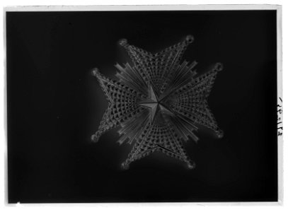 Nordstjärneorden storkorskraschan - Livrustkammaren - 26231-negative