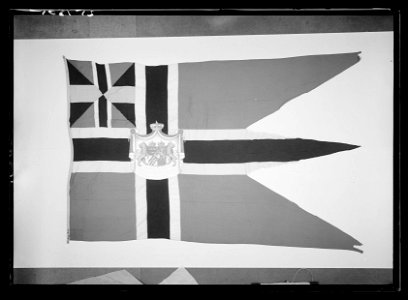 Norsk kunglig flagga med svensk-norska riksvapnet och det senare unionsmärket (1844-1905) - Livrustkammaren - 18501