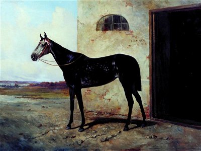 Nikolai Sverchkov - Grey Horse