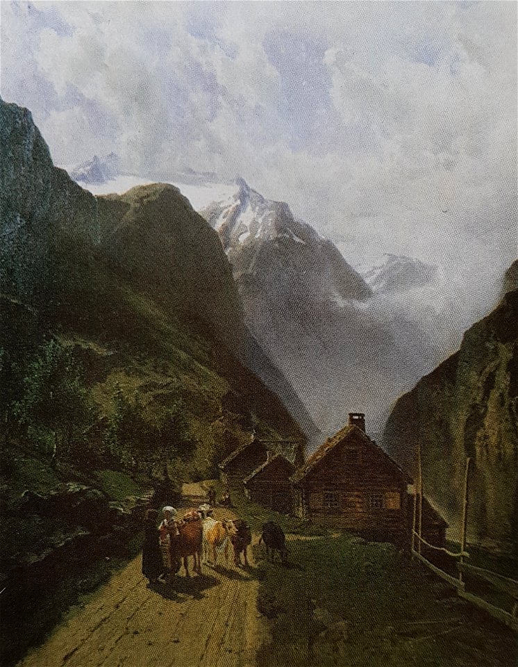 Norskt fjordlandsksap x Edward Bergh